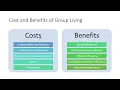 Group living and Social hierarchy GATE EY - Ecology and Evolution
