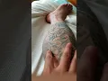 My Calf Tattoos Details and Pain