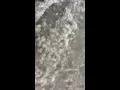 Snow in moorefield west virginia