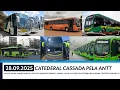 Download Lagu CRISE: Catedral pode ser cassada pela ANTT - Novos G8 da Garcia - Vendas da Gontijo - Curitiba 