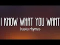 Download Lagu Busta Rhymes, Mariah Carey - I Know What You Want (Lyrics) ft. Flipmode Squad
