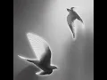a feeling - Hindia