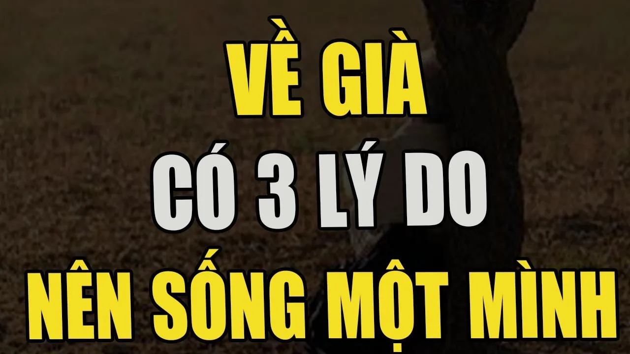 Outline Video Tại Sao Người Già Nên Dũng Cảm Sống Một Mình và 3 Lý Do quan trọng! | Ngẫm Tuổi Già