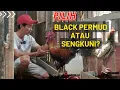 Download Lagu ILMU SEBELUM MEMULAI BETERNAK AYAM ‼️LEBIH PROGRES BETERNAK AYAM KAMPUNH PEDAGING ATAU PETELUR❓❓
