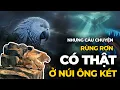 Download Lagu Núi Ông Két Đang Sống? Bí Ẩn Kinh Hoàng Khi Núi Ông Két Xoay Về Núi Cấm! | 360 Khám Phá