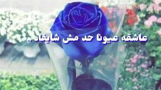 اروع حلات وتساب طال سؤالي قل لي إزاي كده 
