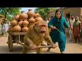 Download Lagu Ghamandi Aurat Ne Bandar Ke Sath Dekho Kya Kiya l Allah wale Zalam Aurat Aur Bandar ka Vakya