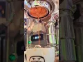Brown Dog Roasting