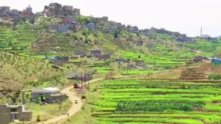 ابى حقوقي وحريتي ابى كياني كما ماكان   علي صالح اليافعي دندنها