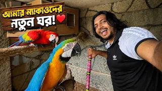 প্রথমবার ছোট খাচায় বন্ধি,,,ম্যাকও পাখি নতুন ঘর Macaw Bird Room new setup 