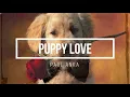 Lagu Puppy Love ( Paul Anka ) Saxophone Cover / Lyrics