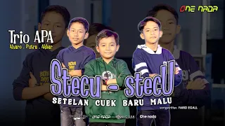 stecu stecu trio apa one nada hs cover 