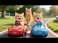 Download Lagu Mama Cat Trims Fur on the Farm and Makes Tiger Hat For Kittens At Home🐾🎩🐯
