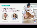 5 Expert Tips on Caring for Senior Pets