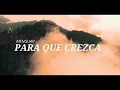 Yo Quiero Más De Ti (Video Lyric) - Jaime Murrell #Adoracion #Worship #VideoLyric #JaimeMurrell #Fe