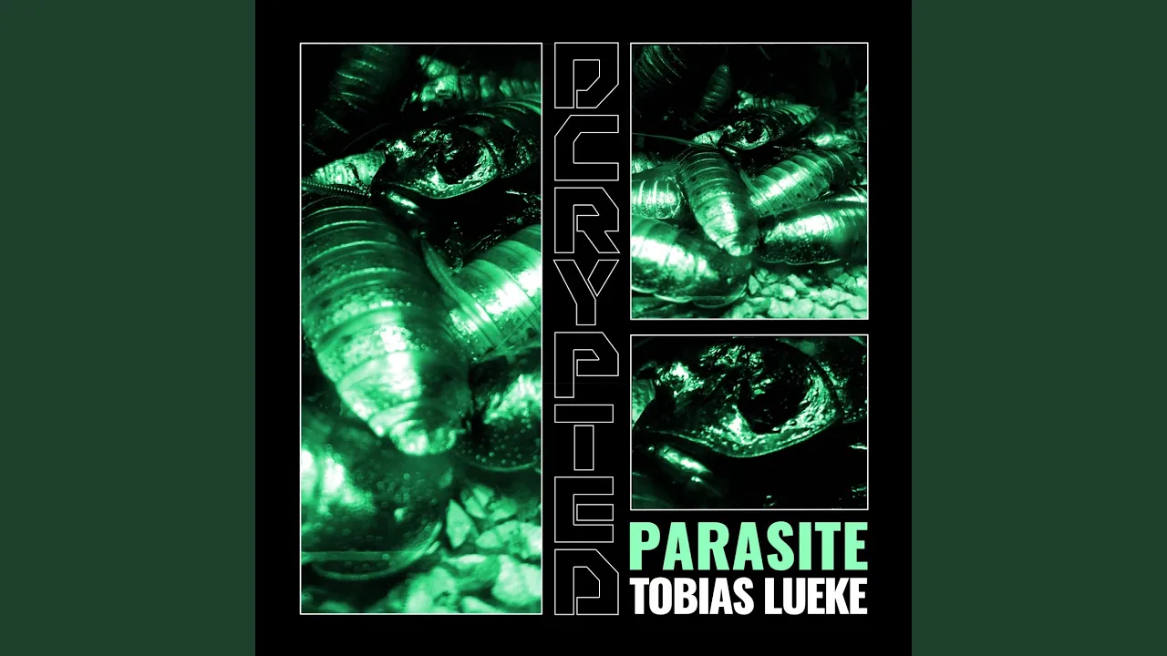 Cycles (Original Mix)