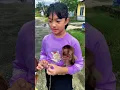 Download Lagu Mochi Usil banget Guys🤣 #shortvideo #shortsvideo #shortsindonesia #monyet #monkey #animal #animals