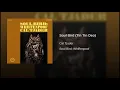 Soul Bird (Tin Tin Deo)