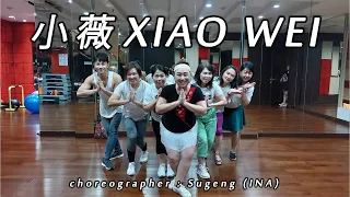 Download XIAO WEI 小薇 REMIX - Huang Pin Yuan 黃品源 | LINE DANCE | PFC | Sugeng LineDance \u0026 Yuliana Chang MP3