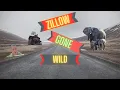 Review and React To 5 New Zillow Gone Wild Houses