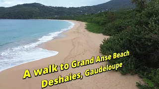 Epiosde 28 – A walk to Grand Anse, Deshaies