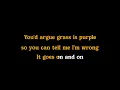 Skye Newman - Man Of The House / Karaoke Version