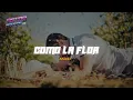 Selena - Como La Flor (Letra)