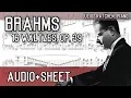 Lagu Brahms - 16 Waltzes, op. 39 (Audio+Sheet) [Katchen]