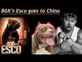 Dangerous Dog Story Shipping the Largest XL American Bully to China