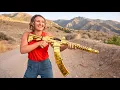 World Champion Compares 250 vs 5 000 Shotgun