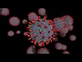 povray virus animation test