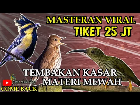 Download MP3 MATERI MEWAH || BURUNG MASTERAN TEMBAKAN Kasar UNTUK ISIAN - MASTERAN VIRAL