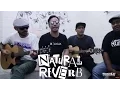 Download Lagu Provoke! Natural Reverb: ShaggyDog - Anjing Kintamani