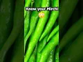 Download Lagu Know your Mirchi! 🌶️ #cookingtips #ranveerbrar #greenchilli #chilivarieties #greenchilli #achar