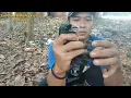 Download Lagu suara mp3 emmang harus ampuh untuk mikat burung murai papua..