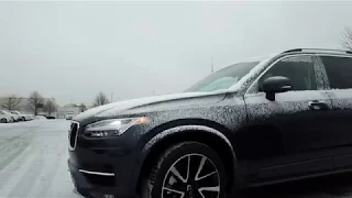 Willis Auto Spa - Winter Vehicle Protection