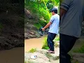 Lagu SANGAT G4N4S SAMBARAN IKAN INI!!!#mancing #mancingmania #fishing #microfhising #nature #videoshort