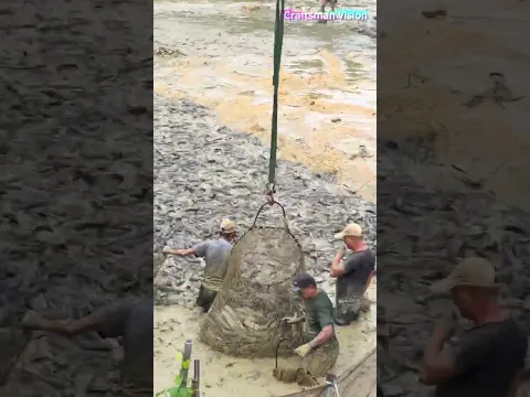 High-density catfish pond draining: Efficient catching with enclosure nets and large landing nets