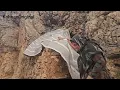 🌧️ Torrential Rain & Freezing Cold! A Cave Woman Fights to Survive Winter ❄️🪨