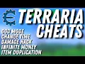 Terraria Cheat Engine Tutorial - Items God Mode Change Time Damage Hack