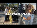 FLORIDA VLOG Finally building our Florida home Salsa recipe Chill beach days Rachel Autenrieth