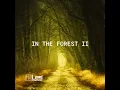 In The Forest 2