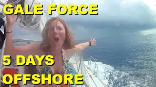 Are We CRAZY? Sailing in GALE FORCE Winds – 700mi to USVI [Ep. 19]