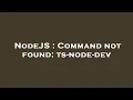 NodeJS Command not found ts-node-dev
