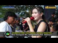 Download Lagu GOYANG LAGEDAY FRESSA AYUMI SHOW NMS HAJAT BPK.YUSRI MAULANA \u0026 IBU.CHRISTY SINDANG