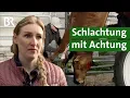 Lagu Mobile Schlachtung mit Metzger am Bauernhof: Ein neuer Weg in der Landwirtschaft? | Unser Land | BR