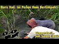 Lagu INI BARU REJEKI! NIAT BUKA HUTAN MALAH NEMU KUBANGAN PENUH IKAN