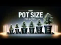 I TESTED EVERY POT SIZE FOR GROWING AUTOFLOWERS HERE S WHAT GREW THE BIGGEST