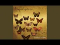 Download Lagu Papilio Machaon