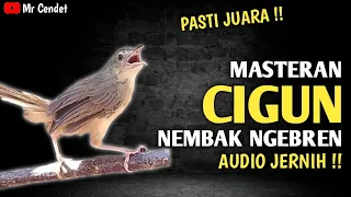 MASTERAN CIGUN NEMBAK NGEBREN || AUDIO JERNIH !!